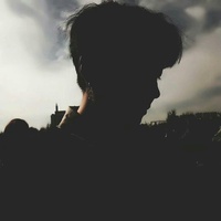 龟背竹研究所